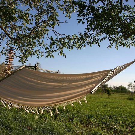 I Fichi Bianchi Bed & Breakfast Cutrofiano Dış mekan fotoğraf